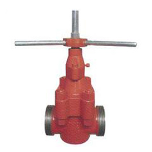 Z23 �@���߉����{�l�y